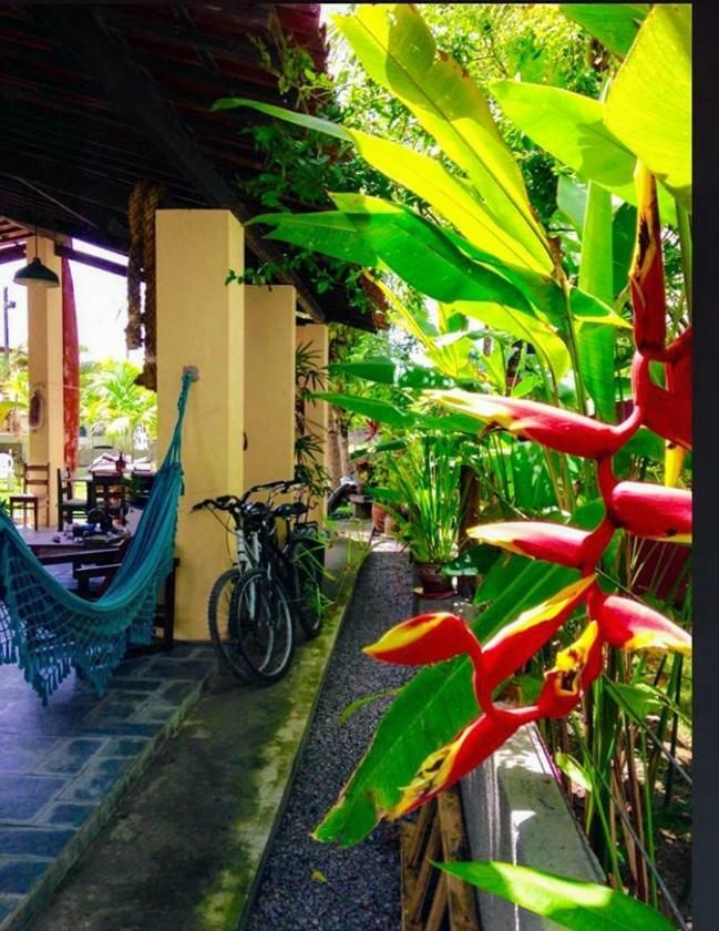 Villa Albardao Serrambi Pôrto das Galinhas Екстериор снимка